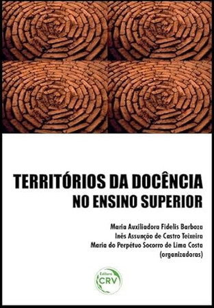 Territórios da docência no ensino superior