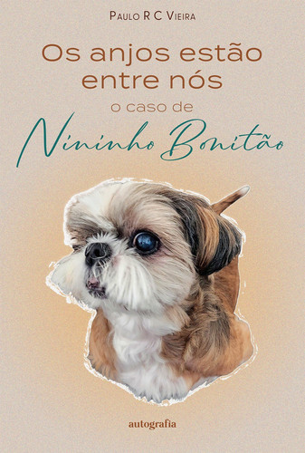 Os anjos estão entre nós - o caso de Nininho Bonitão