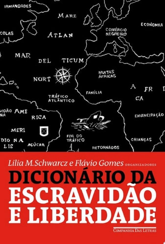 Dicionário da escravidão e liberdade 50 textos críticos