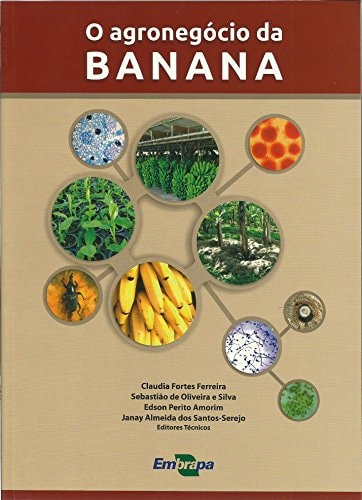 O agronegócio da banana