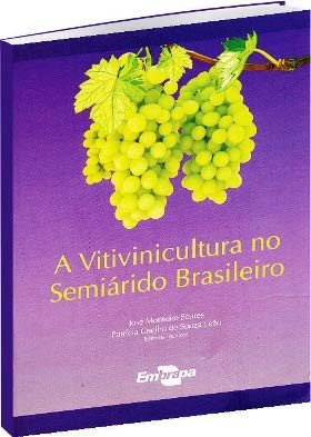 A vitivinicultura no semiárido brasileiro