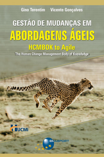 Gestão de mudanças em abordagens ágeis: HCMBOK to agile