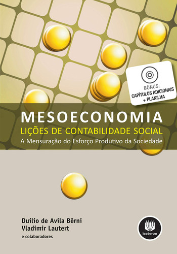 Mesoeconomia: lições de contabilidade social: a mensuração do esforço produtivo da sociedade