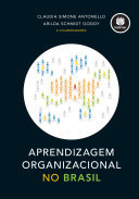 Aprendizagem organizacional no Brasil