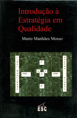 INTRODUCAO A ESTRATEGIA EM QUALIDADE