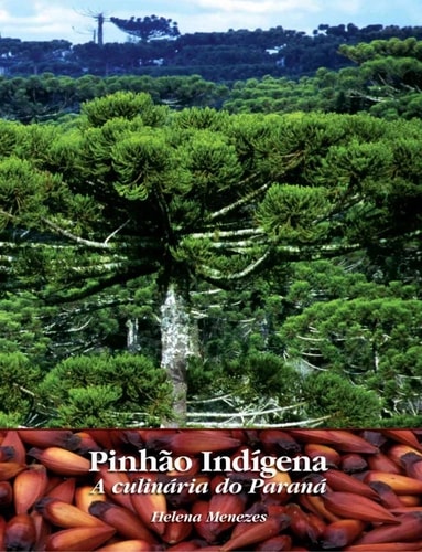 Pinhão indígena a culinária do Paraná