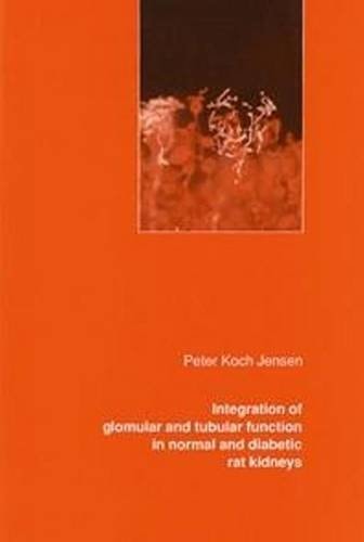 Integration of Glomerular and Tubular Function in Normal and Diabetic Rat Kidneys
