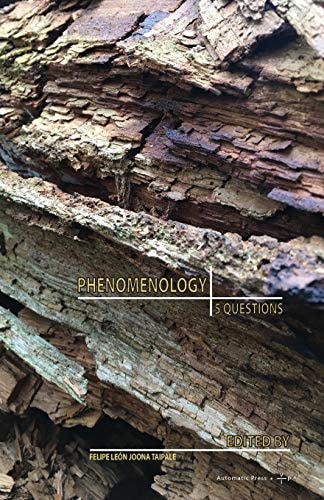 Phenomenology 5 Questions