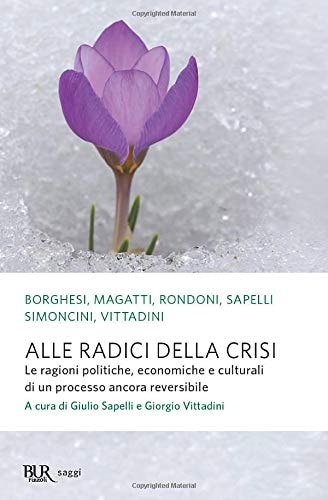 Alle radici della crisi le ragioni politiche, economiche e culturali di un processo ancora reversibile