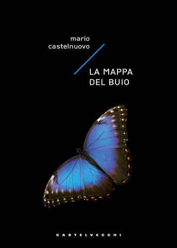 LA MAPPA DEL BUIO (Italian Edition)