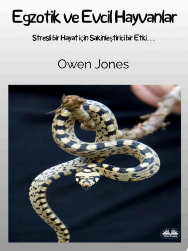 Egzotik ve evcil hayvanlar Stresli bir hayattı sakinleştiren bir etki...