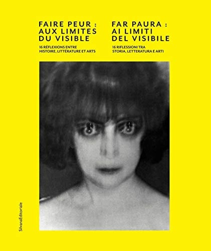 Faire peur aux limites du visible : 16 réflexions entre histoire, littérature et arts