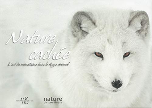 Nature cachée L'art du mimétisme dans le règne animal
