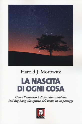 La nascita di ogni cosa. Come l'universo è diventato complesso. Dal Big Bang allo spirito dell'uomo in 28 passaggi
