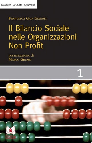 Il bilancio sociale nelle organizzazioni non profit