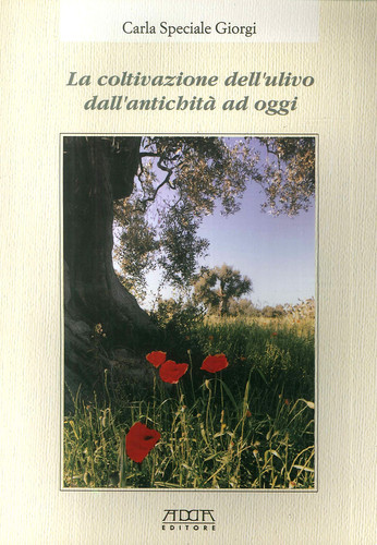 La coltivazione dell'ulivo dall'antichità ad oggi