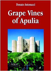 Grape vines of apuleia