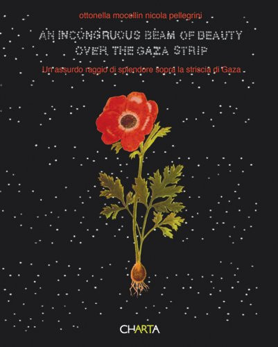 Ottonella Mocellin & Nicola Pellegrini: An Incongruous Beam of Beauty Over the Gaza Strip