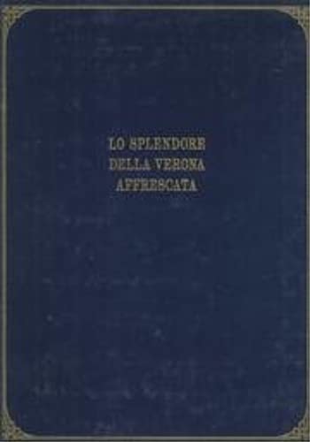 Lo splendore della Verona affrescata nelle tavole di Pietro Nanin del 1864