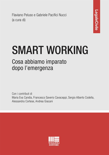 Smart working cosa abbiamo imparato dopo l'emergenza