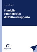 Famiglie e minore età dall'atto al rapporto