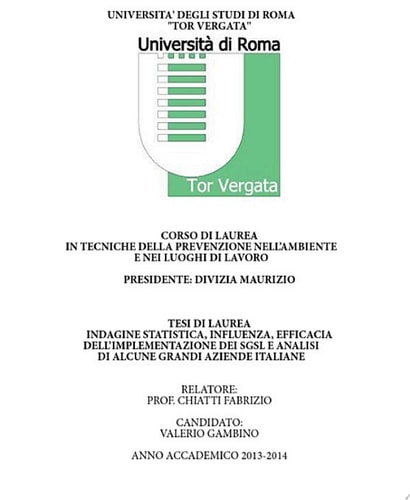 Indagine statistica, Influenza, Efficacia dell'implementazione dei SGSL e analisi di alcune grandi aziende italiane