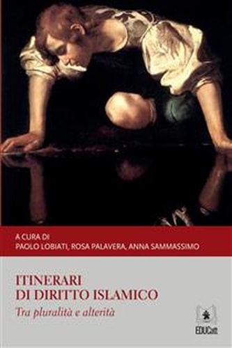 Itinerari di diritto islamico Tra pluralità e alterità (Italian Edition)