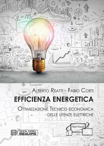 Efficienza Energetica Ottimizzazione tecnico economica delle utenze elettriche
