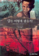    a missionary story based true events