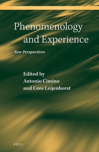 Phenomenology and Experience New Perspectives
