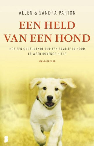 Een held van een hond