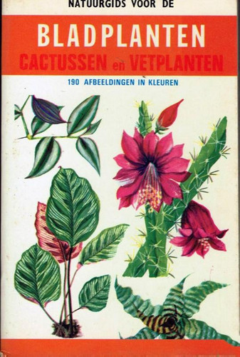 Natuurgids cactussen en vetplanten