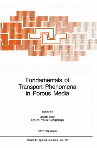 Fundamentals of Transport Phenomena in Porous Media (Nato Science Series E:)