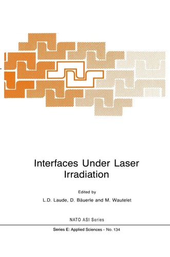 Interfaces Under Laser Irradiation (NATO Science Series E:, 134)