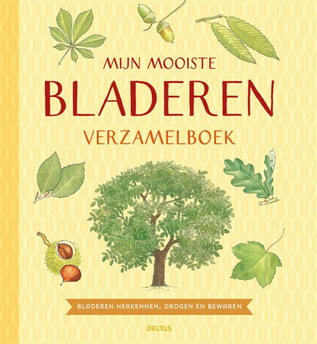 Mijn mooiste bladeren verzamelboek: Bladeren herkennen, drogen en bewaren