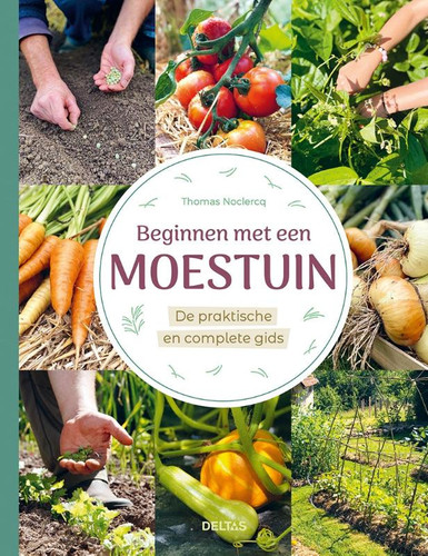 Beginnen met een moestuin