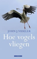 Hoe vogels vliegen