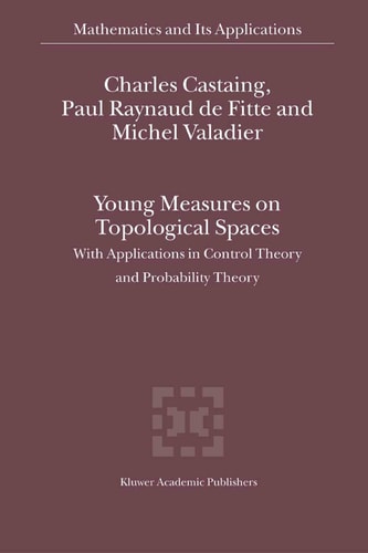 Young Measures on Topological Spaces With Applications in Control Theory and Probability Theory