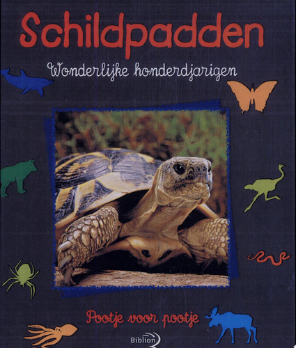 Schildpadden