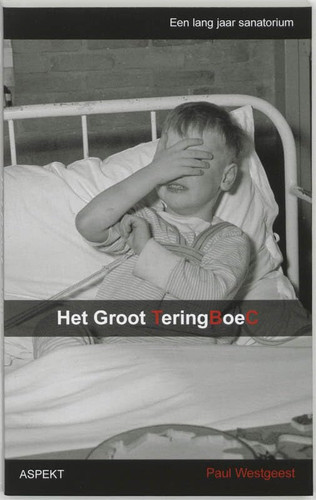 Het groot TeringBoeC een lang jaar sanatorium : herinneringen van een kleine teringlijder
