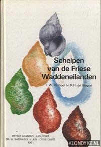Schelpen Van De Friese Waddeneilanden
