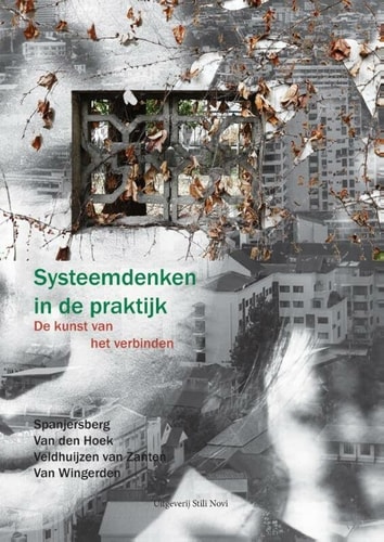 Systeemdenken in de praktijk de kunst van het verbinden