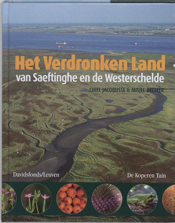 Het verdronken land van Saeftinghe