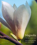 Magnolia välja, köpa och odla i Sverige