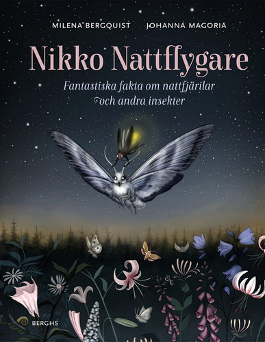 Nikko nattflygare