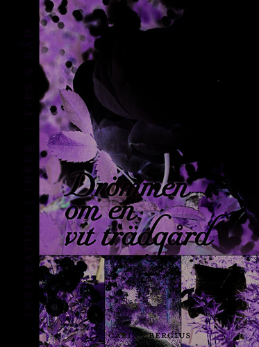 Drömmen om en vit trädgård : inspiration, ideér, tips & råd