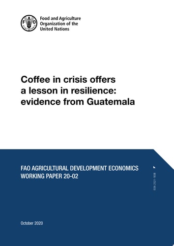 Coffee in crisis offers a lesson in resilience: evidence from Guatemala FAO Agricultural Development Economics Working Paper 20-02