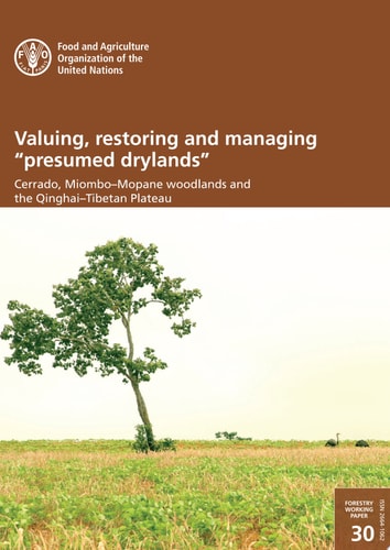 Valuing, restoring and managing “presumed drylands”: Cerrado, Miombo–Mopane woodlands and the Qinghai–Tibetan Plateau