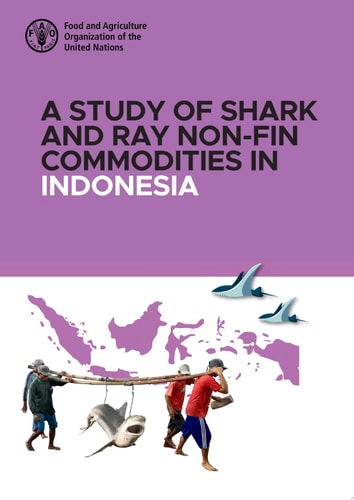 A study of shark and ray non-fin commodities in Indonesia