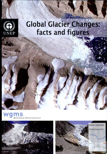 Global Glacier Changes Facts and Figures